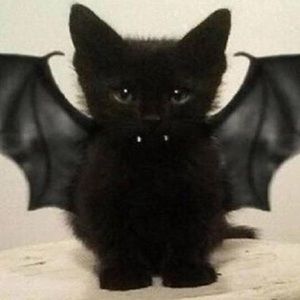 Meet your Posher, Martha-calderon